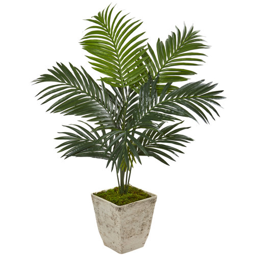 Bay Isle Home Artificial Palm Tree in Planter Wayfair Canada